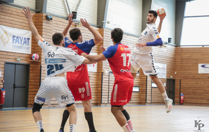 Victoire du 06.04.2019 de nos Toros Brugeais sur le Fenix Toulouse - Crédit photo : Christophe Biccheri - Kristo Photographie