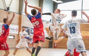 Victoire du 06.04.2019 de nos Toros Brugeais sur le Fenix Toulouse - Crédit photo : Christophe Biccheri - Kristo Photographie