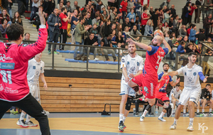 Victoire du 06.04.2019 de nos Toros Brugeais sur le Fenix Toulouse - Crédit photo : Christophe Biccheri - Kristo Photographie