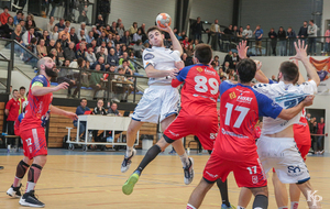 Victoire du 06.04.2019 de nos Toros Brugeais sur le Fenix Toulouse - Crédit photo : Christophe Biccheri - Kristo Photographie