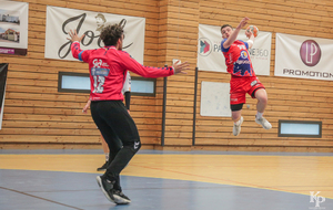 Victoire du 06.04.2019 de nos Toros Brugeais sur le Fenix Toulouse - Crédit photo : Christophe Biccheri - Kristo Photographie