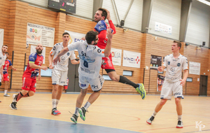 Victoire du 06.04.2019 de nos Toros Brugeais sur le Fenix Toulouse - Crédit photo : Christophe Biccheri - Kristo Photographie