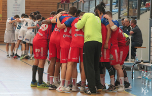 Victoire du 06.04.2019 de nos Toros Brugeais sur le Fenix Toulouse - Crédit photo : Christophe Biccheri - Kristo Photographie