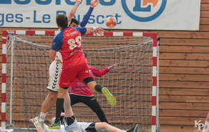 Victoire du 06.04.2019 de nos Toros Brugeais sur le Fenix Toulouse - Crédit photo : Christophe Biccheri - Kristo Photographie