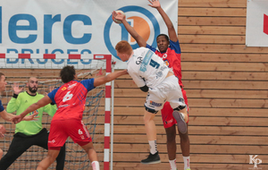 Victoire du 06.04.2019 de nos Toros Brugeais sur le Fenix Toulouse - Crédit photo : Christophe Biccheri - Kristo Photographie