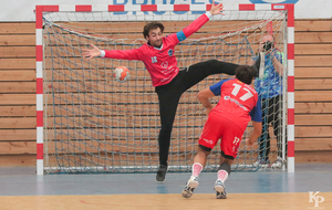 Victoire du 06.04.2019 de nos Toros Brugeais sur le Fenix Toulouse - Crédit photo : Christophe Biccheri - Kristo Photographie