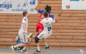 Victoire du 06.04.2019 de nos Toros Brugeais sur le Fenix Toulouse - Crédit photo : Christophe Biccheri - Kristo Photographie