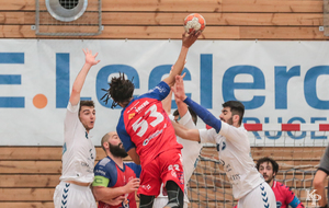 Victoire du 06.04.2019 de nos Toros Brugeais sur le Fenix Toulouse - Crédit photo : Christophe Biccheri - Kristo Photographie