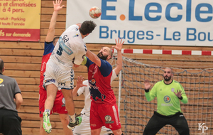 Victoire du 06.04.2019 de nos Toros Brugeais sur le Fenix Toulouse - Crédit photo : Christophe Biccheri - Kristo Photographie