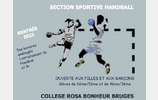 Candidature section sportive Handball